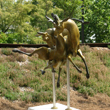 National Sculptors' Guild Public Art Placement Vogel Schwartz Sculpture Garden Tim Nimmo