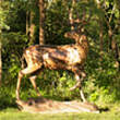 National Sculptors' Guild public art placement 32 Kent Ullberg bronze Startled Omaha Botanical Gardens, Nebraska 1995 deer
