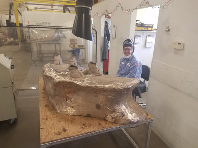 12/20/17: Above are images of the casting at Art Castings of Colorado, that are metal chased back together and prepped for patina. 
National Sculptors' Guild will install the bronze buffalo "Silver and Gold" by Denny Haskew  in Boulder at CU's new Admissions Building Spring 2018.