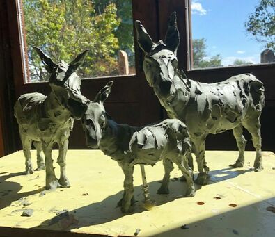 We are thrilled to have a new project with the City of Southlake. This time it's a fun homage to the burros that called the area being developed home: 