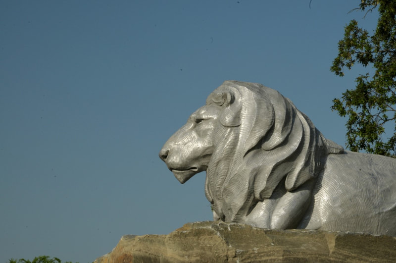 "Lion Pride" by Darrell Davis and the National Sculptors' Guild  is installed at the roundabout as you enter the Little Rock Zoo. NSG Director John Kinkade made multiple trips to Little Rock to pick out the natural stone that is strategically placed to create the levels needed to match the artist's initial composition. The cast aluminum really sets off against the warm colors in the stone. And the strong glance of the lions is intense. We love how it turned out and hope you can make a trip to see in person. #PublicArt NSG-505